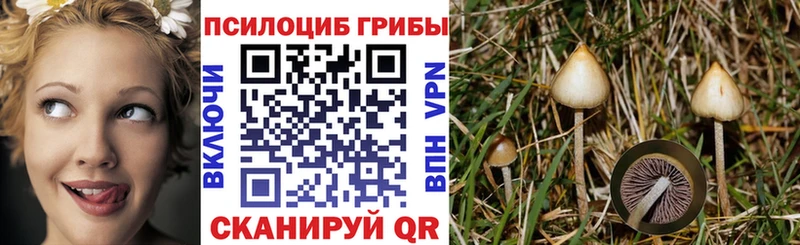 Псилоцибиновые грибы Magic Shrooms  дарнет шоп  Кушва 